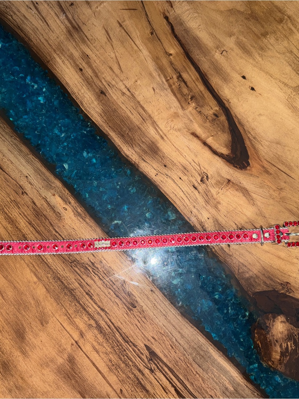 B.B. Simon Red Crystal Buckle and Strap Dog Collar - Picture 6 of 7